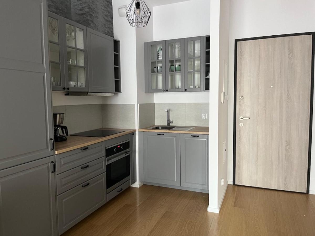 Apartament Starowiejska 54 格但斯克 外观 照片